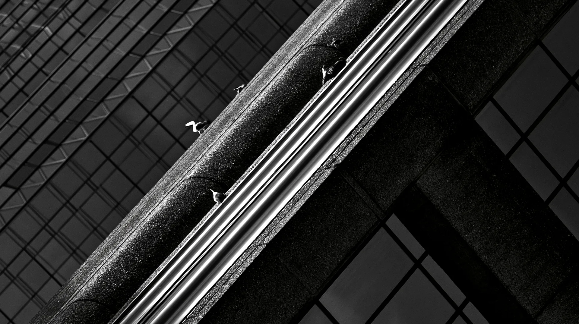 Clean architectural lines